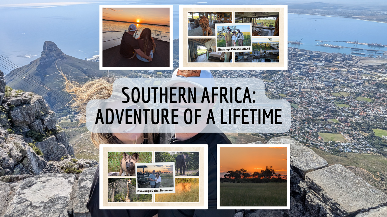 African safari experience