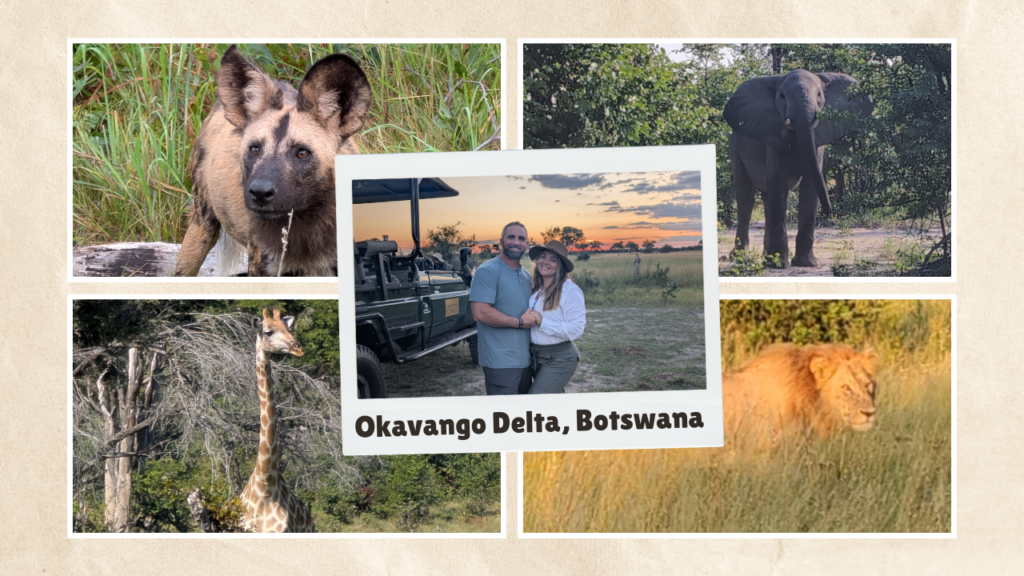 Okavango Explorers Camp